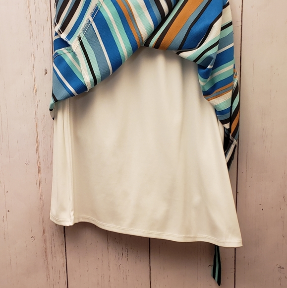 NY Collection StripedAsymmetrical Skirt (L) - Picture 4 of 7